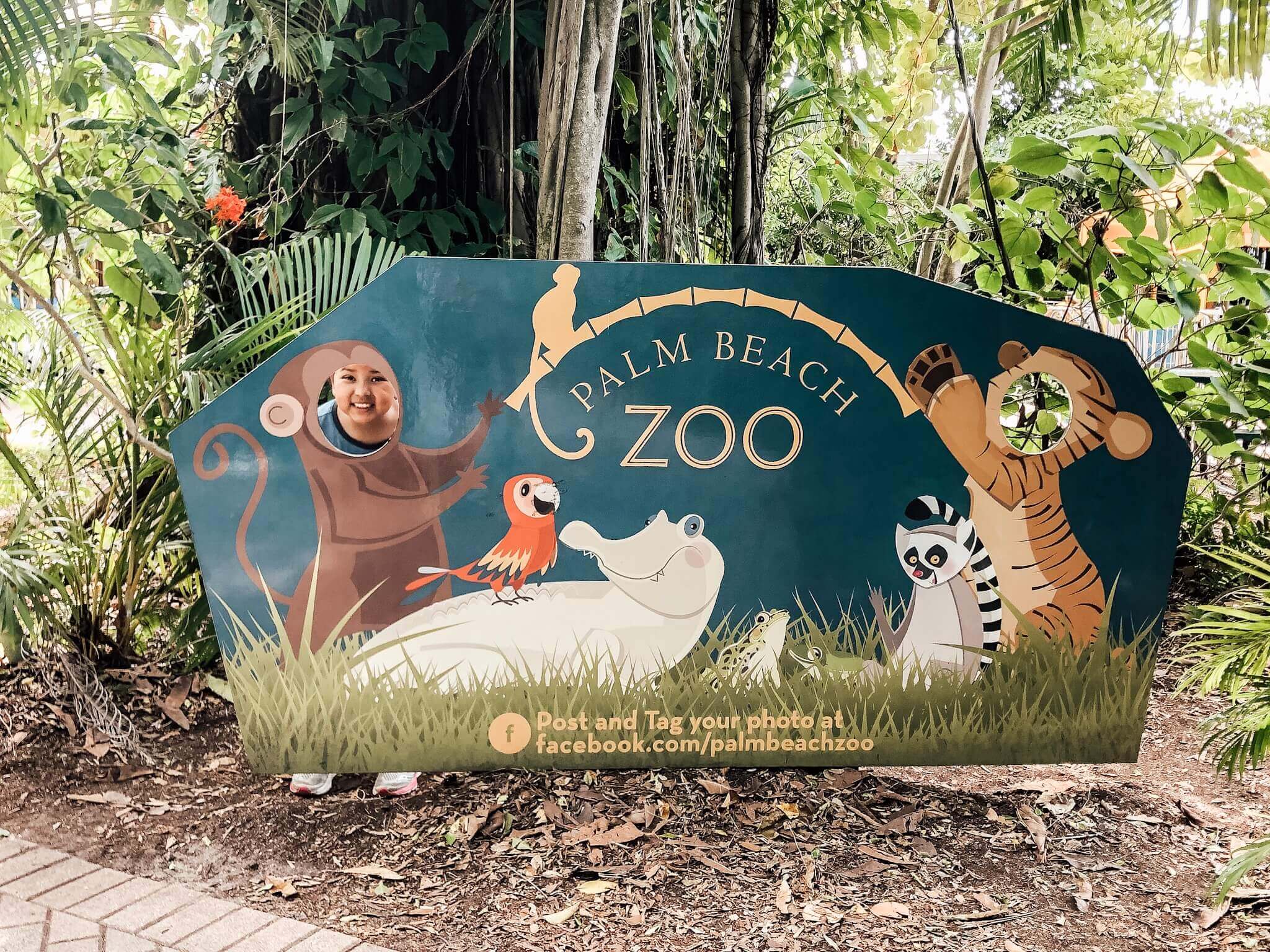 12 Zoo animal craft ideas to do after a visit to the zoo - Kid Activities  with Alexa