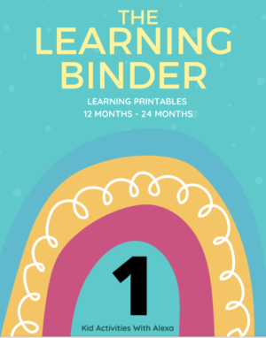The Learning Binder 1 | One Year Old Printables Binder