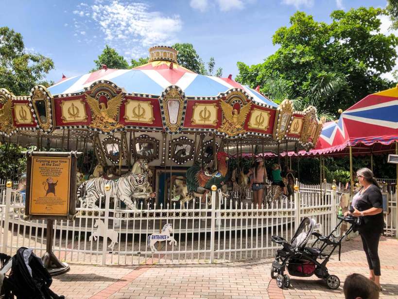 Palm Beach Zoo carousel is great as an outdoor summer activity for kids