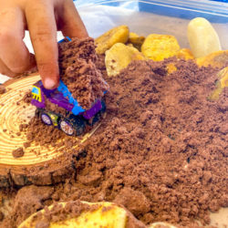 Fake Edible Dirt and BUGS Themed Speech Therapy