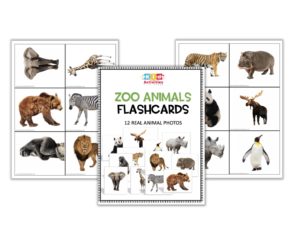 Zoo Realistic Animal Flashcards (PDF)