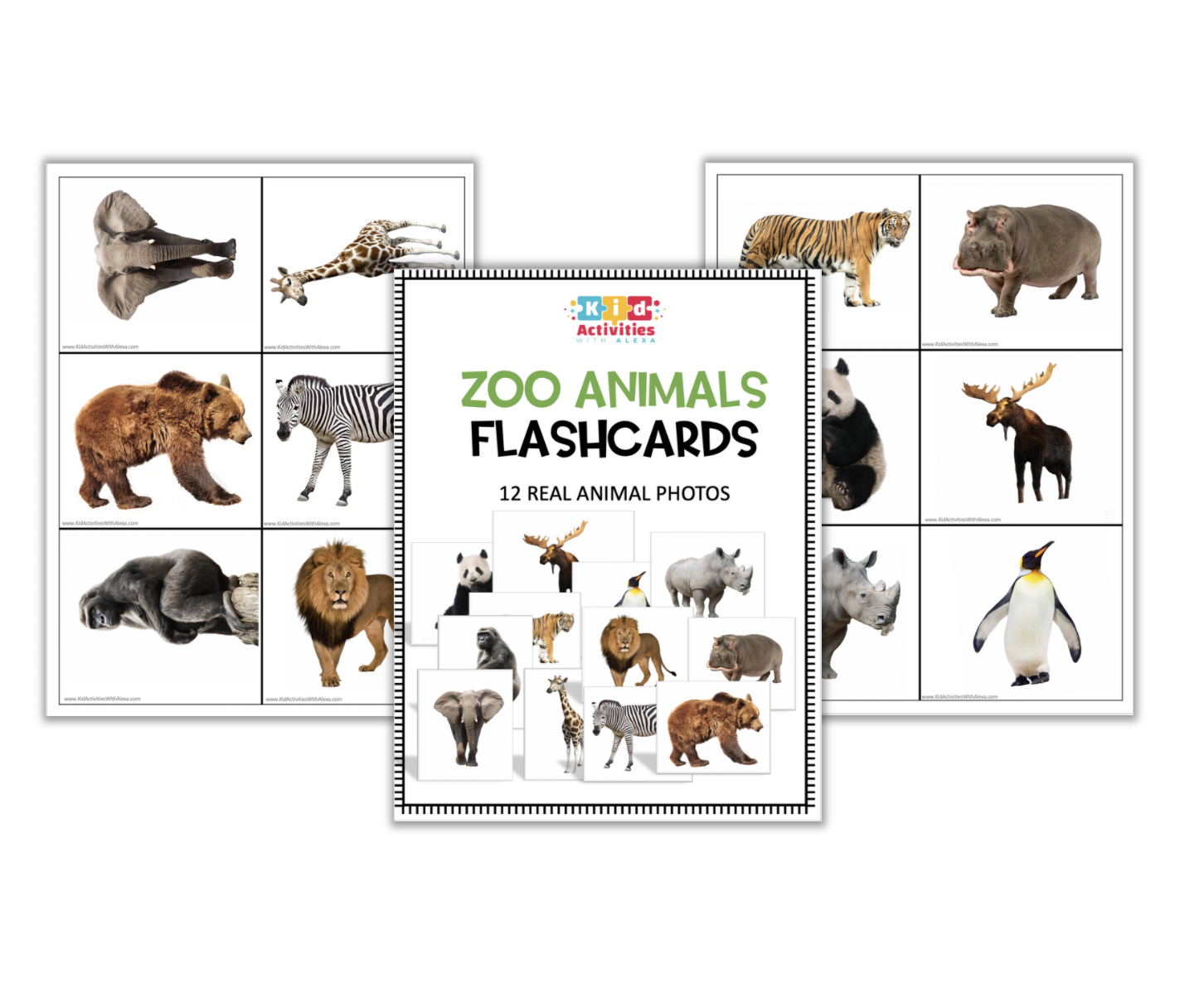 EDUCATIONAL ZOO ANIMALS 24 FLASH CARDS TEACHING  RESOURCE DAY AT THE ZOO !? 