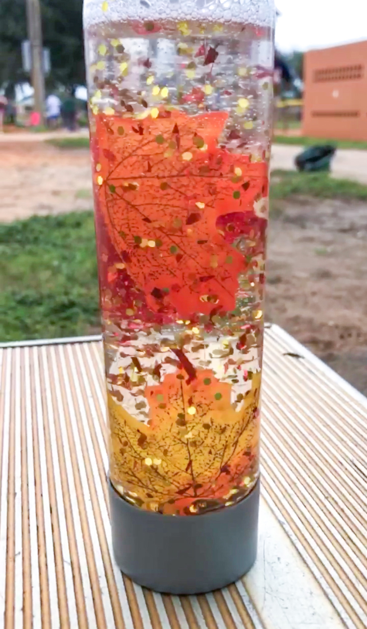 Fall Leaves Sensory Bottle