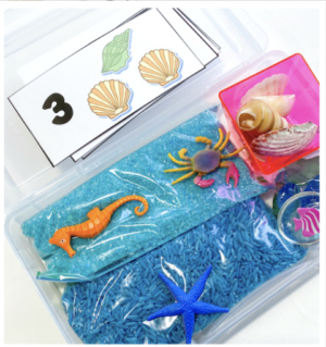 MATH: Shell Counting cards number 1-5 (PDF)