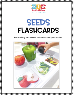 SCIENCE: Learn about Seeds With Flashcards (PDF)