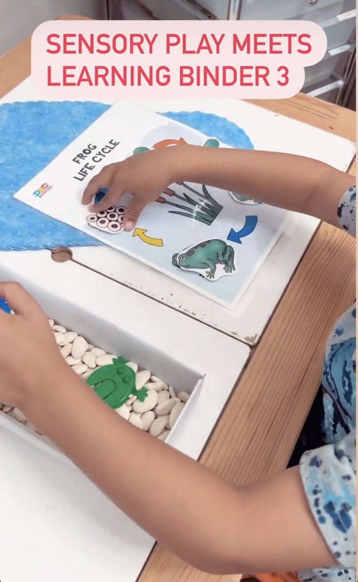 Frog life cycle activity page from Level 3