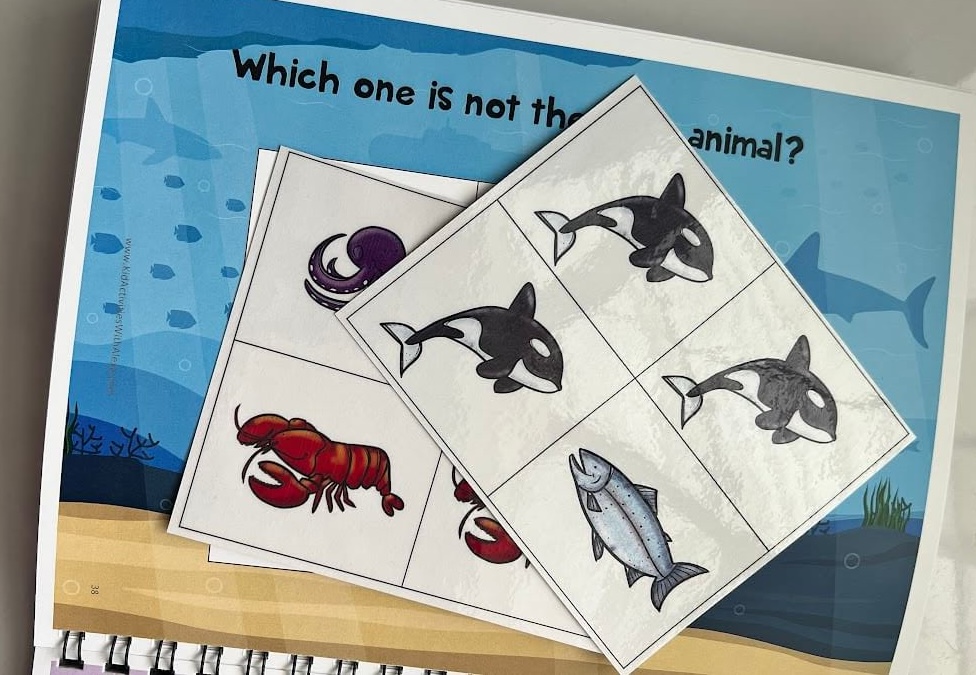 Learning Binder Level 2 activity pages — a look at what's inside